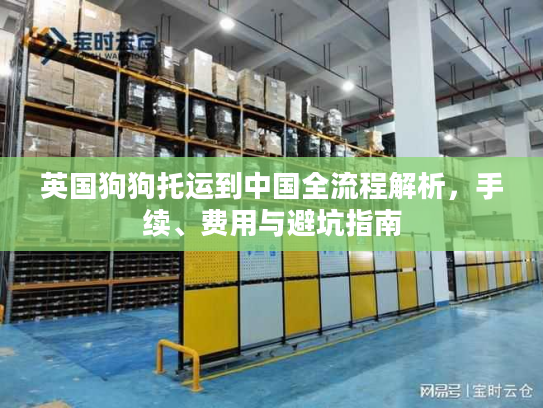 英国狗狗托运到中国全流程解析，手续、费用与避坑指南
