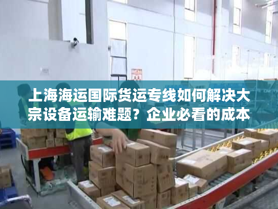 上海海运国际货运专线如何解决大宗设备运输难题？企业必看的成本控制指南