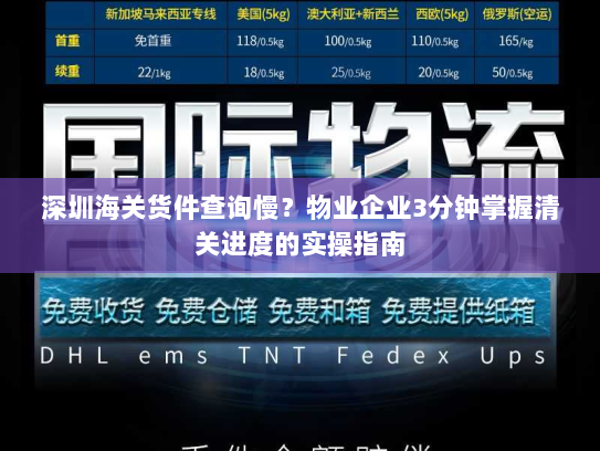 深圳海关货件查询慢？物业企业3分钟掌握清关进度的实操指南