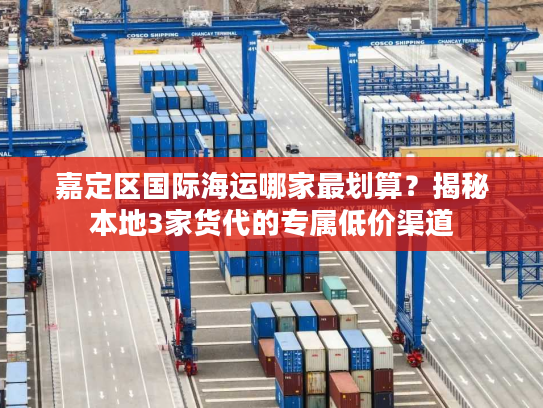 嘉定区国际海运哪家最划算？揭秘本地3家货代的专属低价渠道