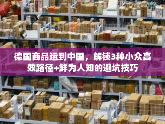 德国商品运到中国，解锁3种小众高效路径+鲜为人知的避坑技巧