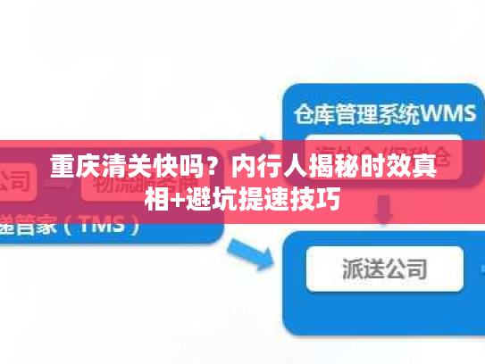 重庆清关快吗？内行人揭秘时效真相+避坑提速技巧