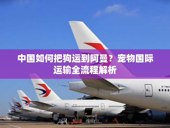 中国如何把狗运到阿曼？宠物国际运输全流程解析