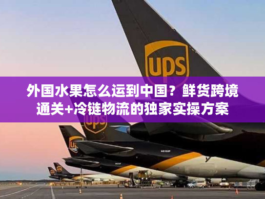外国水果怎么运到中国？鲜货跨境通关+冷链物流的独家实操方案
