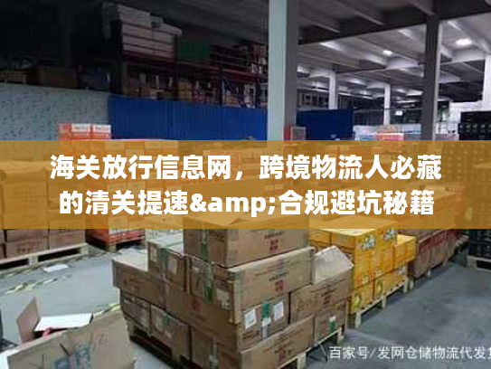 海关放行信息网，跨境物流人必藏的清关提速&合规避坑秘籍