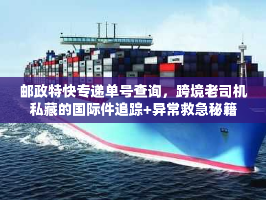 邮政特快专递单号查询，跨境老司机私藏的国际件追踪+异常救急秘籍
