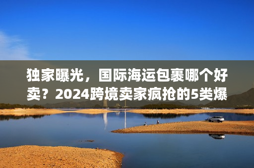 独家曝光，国际海运包裹哪个好卖？2024跨境卖家疯抢的5类爆品