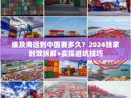 埃及海运到中国要多久？2024独家时效拆解+实操避坑技巧
