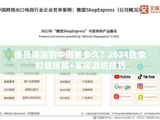 埃及海运到中国要多久？2024独家时效拆解+实操避坑技巧