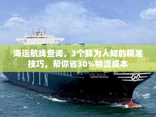 海运航线查询，3个鲜为人知的精准技巧，帮你省30%物流成本