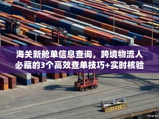 海关新舱单信息查询，跨境物流人必藏的3个高效查单技巧+实时核验妙招