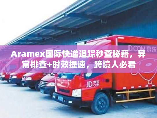 Aramex国际快递追踪秒查秘籍，异常排查+时效提速，跨境人必看