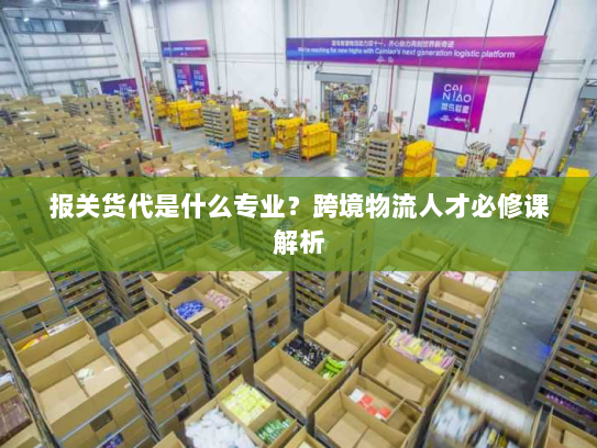 报关货代是什么专业？跨境物流人才必修课解析