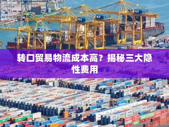 转口贸易物流成本高？揭秘三大隐性费用