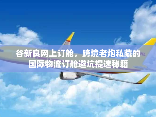 谷新良网上订舱，跨境老炮私藏的国际物流订舱避坑提速秘籍