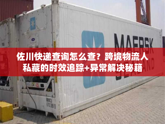 佐川快递查询怎么查？跨境物流人私藏的时效追踪+异常解决秘籍