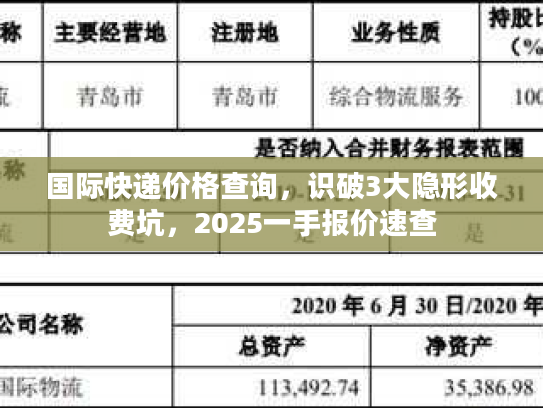 国际快递价格查询，识破3大隐形收费坑，2025一手报价速查