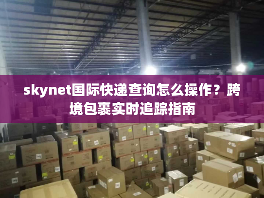 skynet国际快递查询怎么操作？跨境包裹实时追踪指南