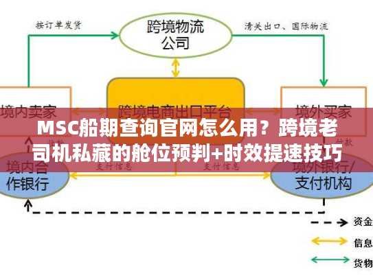MSC船期查询官网怎么用？跨境老司机私藏的舱位预判+时效提速技巧