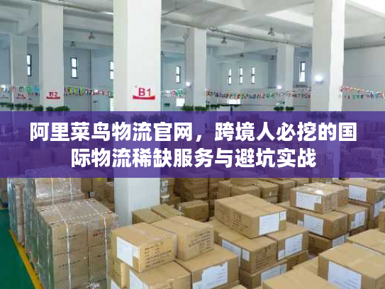 阿里菜鸟物流官网，跨境人必挖的国际物流稀缺服务与避坑实战