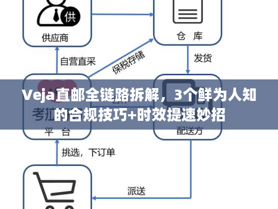 Veja直邮全链路拆解，3个鲜为人知的合规技巧+时效提速妙招