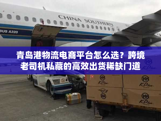 青岛港物流电商平台怎么选？跨境老司机私藏的高效出货稀缺门道