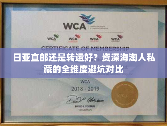 日亚直邮还是转运好？资深海淘人私藏的全维度避坑对比