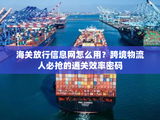 海关放行信息网怎么用？跨境物流人必抢的通关效率密码