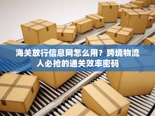 海关放行信息网怎么用？跨境物流人必抢的通关效率密码