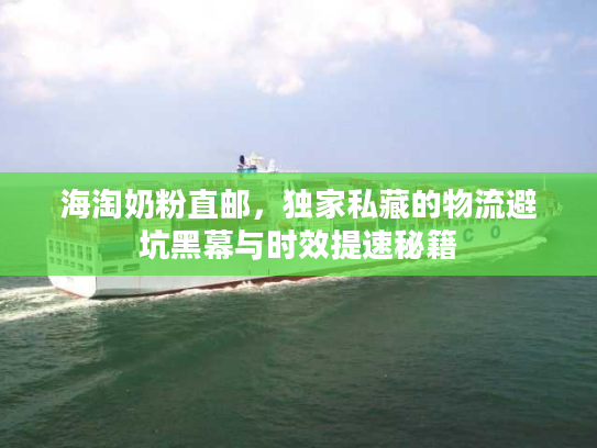 海淘奶粉直邮，独家私藏的物流避坑黑幕与时效提速秘籍
