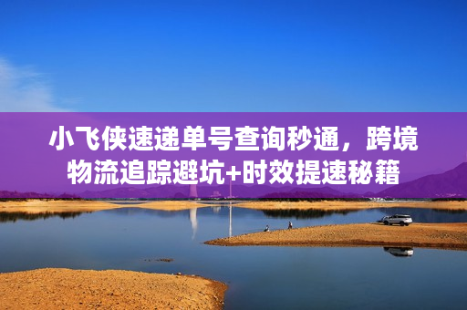 小飞侠速递单号查询秒通，跨境物流追踪避坑+时效提速秘籍