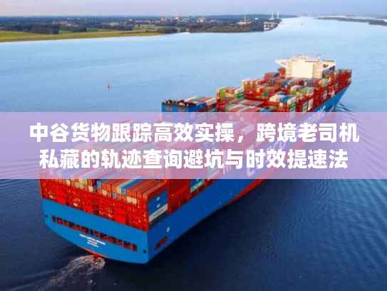 中谷货物跟踪高效实操，跨境老司机私藏的轨迹查询避坑与时效提速法
