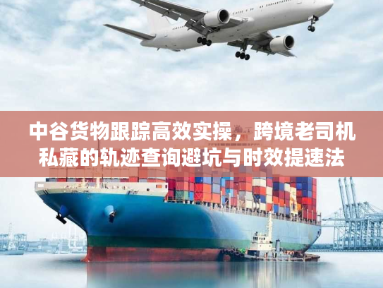 中谷货物跟踪高效实操，跨境老司机私藏的轨迹查询避坑与时效提速法