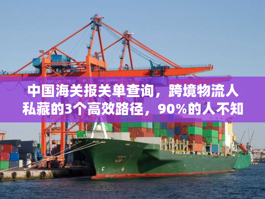 中国海关报关单查询，跨境物流人私藏的3个高效路径，90%的人不知道