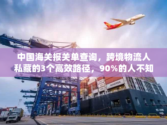 中国海关报关单查询，跨境物流人私藏的3个高效路径，90%的人不知道