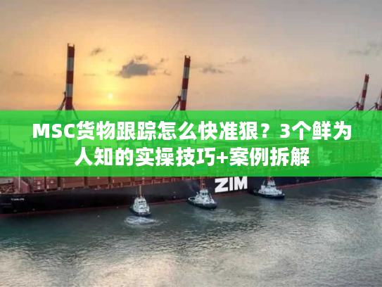 MSC货物跟踪怎么快准狠？3个鲜为人知的实操技巧+案例拆解