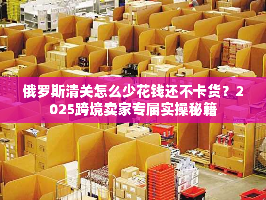 俄罗斯清关怎么少花钱还不卡货？2025跨境卖家专属实操秘籍