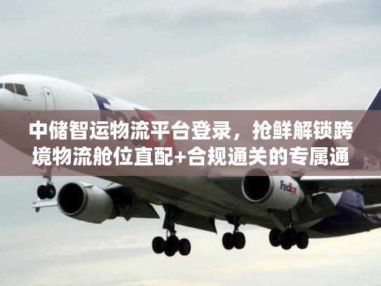 中储智运物流平台登录，抢鲜解锁跨境物流舱位直配+合规通关的专属通道
