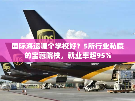 国际海运哪个学校好？5所行业私藏的宝藏院校，就业率超95%
