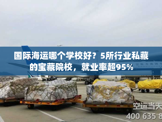 国际海运哪个学校好？5所行业私藏的宝藏院校，就业率超95%