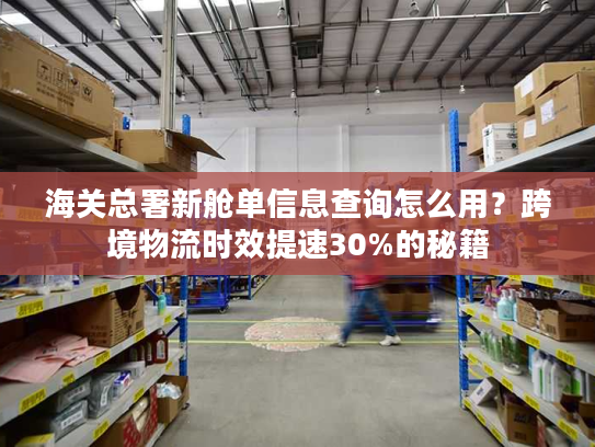 海关总署新舱单信息查询怎么用？跨境物流时效提速30%的秘籍