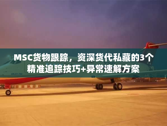 MSC货物跟踪，资深货代私藏的3个精准追踪技巧+异常速解方案
