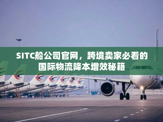 SITC船公司官网，跨境卖家必看的国际物流降本增效秘籍