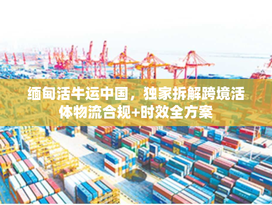 缅甸活牛运中国，独家拆解跨境活体物流合规+时效全方案