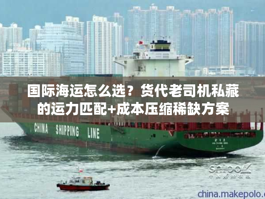 国际海运怎么选？货代老司机私藏的运力匹配+成本压缩稀缺方案