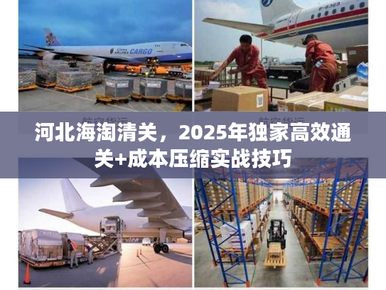 河北海淘清关，2025年独家高效通关+成本压缩实战技巧