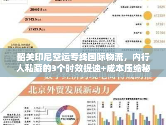 韶关印尼空运专线国际物流，内行人私藏的3个时效提速+成本压缩秘籍