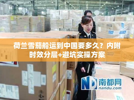 荷兰雪茄船运到中国要多久？内附时效分层+避坑实操方案