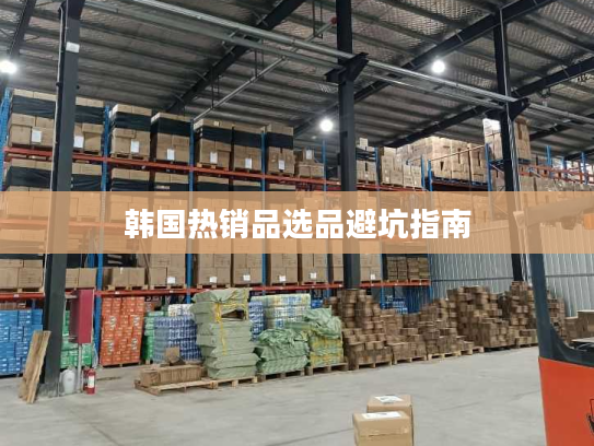 韩国热销品选品避坑指南