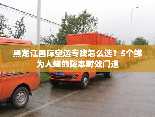 黑龙江国际空运专线怎么选？5个鲜为人知的降本时效门道